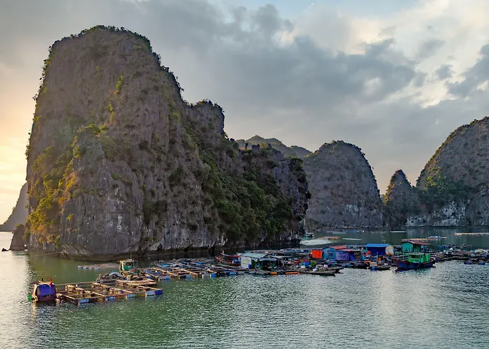 Heritage Line Ginger Cruise - Bay & Lan Ha Bay  5*